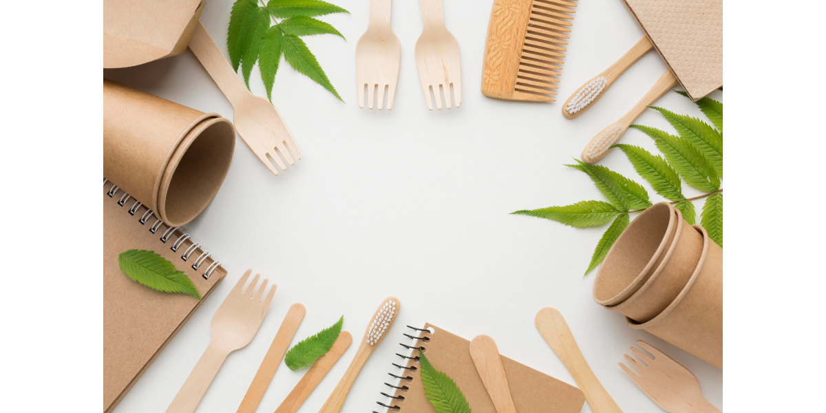  Sustainable and Eco-Friendly Products